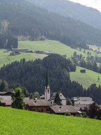 Scenic view of grassy field