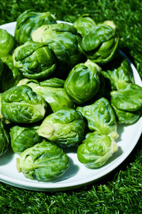 High angle view of vegetables in plate on grassy field