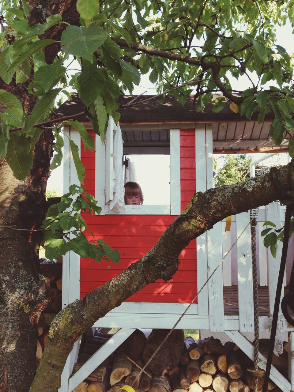 building exterior, architecture, built structure, tree, house, low angle view, growth, residential structure, window, branch, residential building, plant, leaf, day, ivy, red, outdoors, sunlight, roof, no people