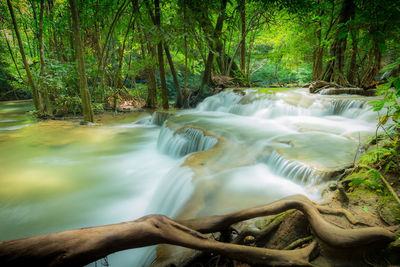 Scenic view of waterfall in forest