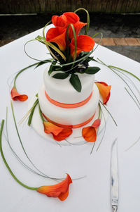 High angle view of roses in plate on table