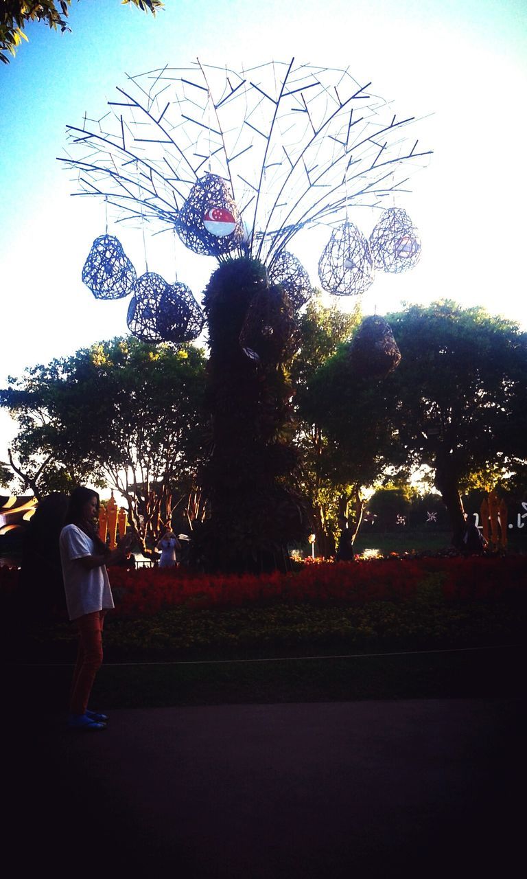 REAR VIEW OF A MAN AGAINST BLURRED TREES