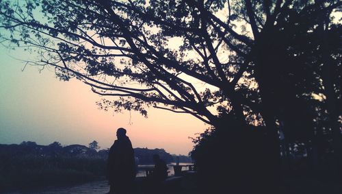 Silhouette people standing by tree against sky during sunset