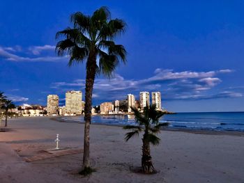 Palm trees on beach by sea against sky