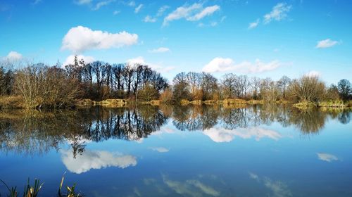 Scenic view of lake by trees against blue sky