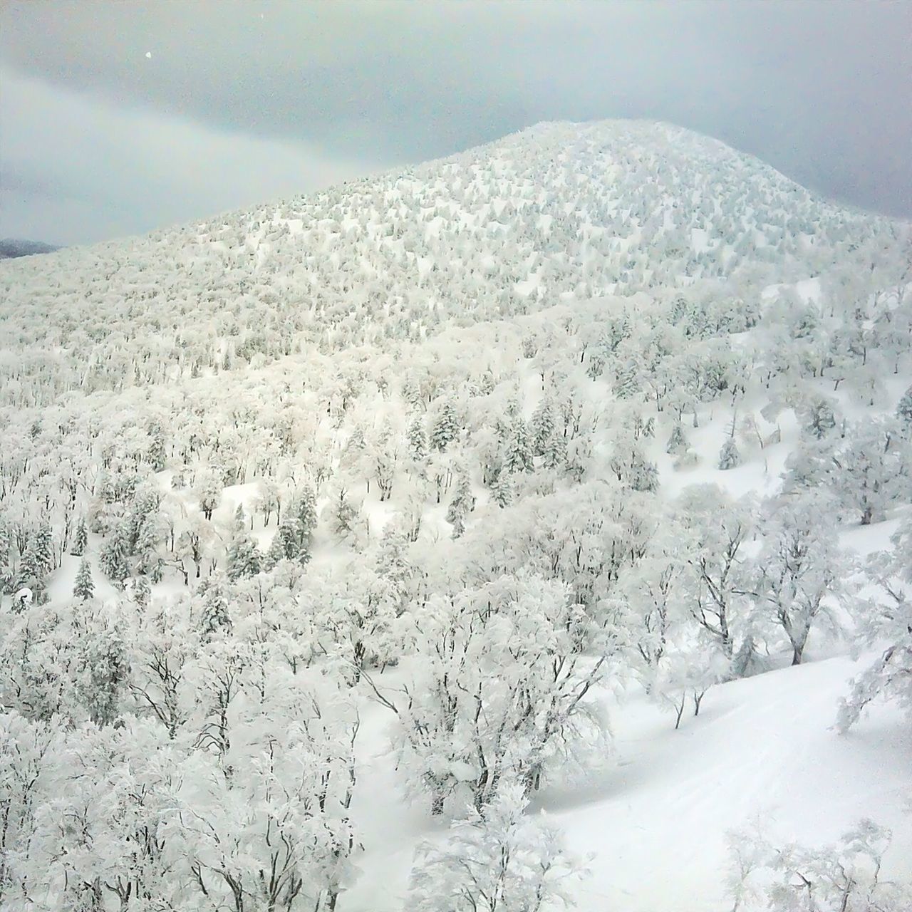 snow, winter, cold temperature, mountain, season, weather, tranquil scene, tranquility, landscape, scenics, beauty in nature, snowcapped mountain, covering, nature, mountain range, non-urban scene, white color, frozen, sky, snowcapped