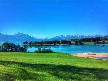 Scenic view of lake against clear blue sky