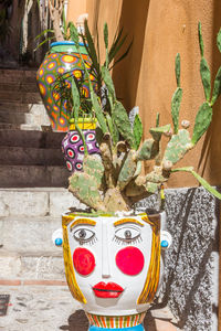 Close-up of potted plant against wall