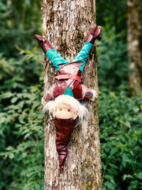 High angle view of wooden post hanging from tree trunk