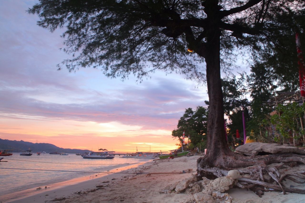 tree, sunset, tranquility, beach, tranquil scene, sky, scenics, beauty in nature, water, sea, shore, nature, sand, cloud - sky, idyllic, tree trunk, non-urban scene, transportation, outdoors, branch