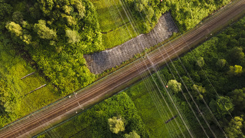 High angle view of road amidst trees in forest