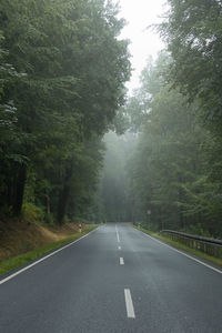 Road amidst trees against sky