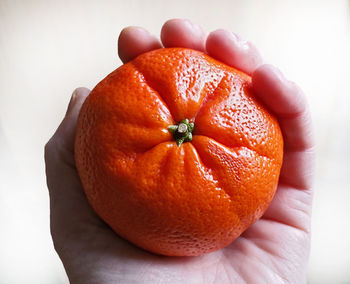 Close-up of pumpkin against orange background
