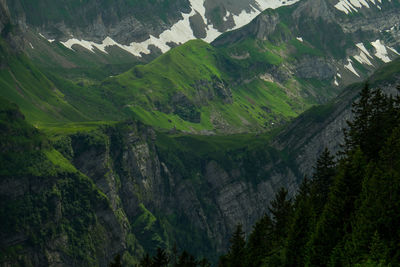 Scenic view of tree mountains against sky