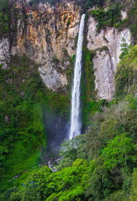 View of waterfall in forest