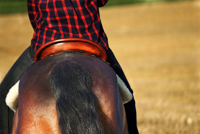 Rear view of man sitting on field