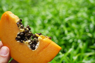 Close-up of hand holding fruit