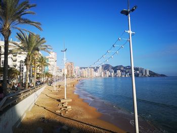 Palm trees on beach against blue sky