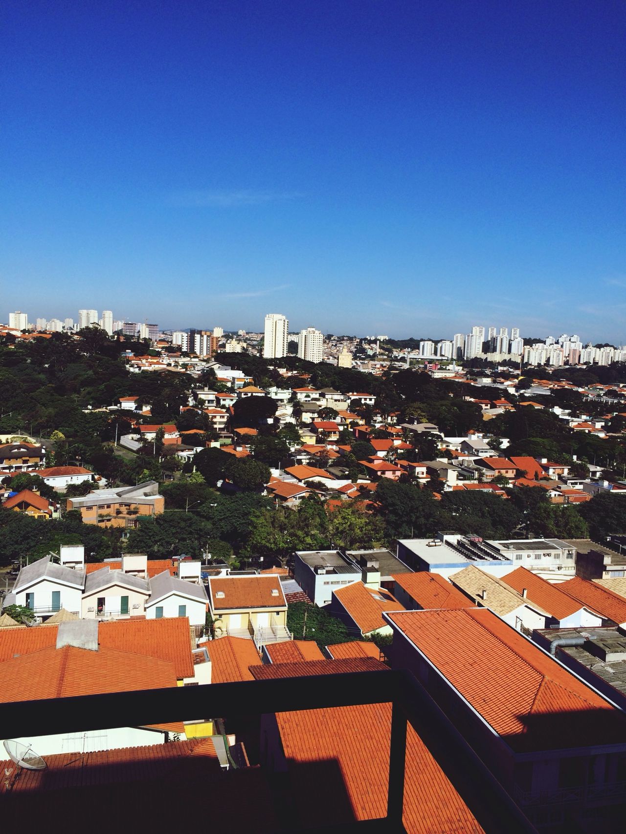 Bairro morumbi