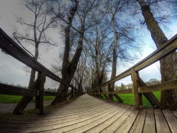 Bare trees against sky