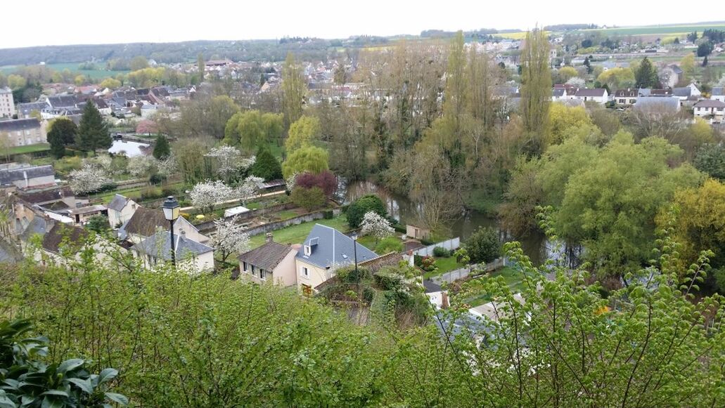 building exterior, architecture, built structure, high angle view, house, tree, residential structure, residential building, residential district, town, townscape, mountain, landscape, crowded, cityscape, hill, city, village, green color, human settlement