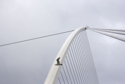 Low angle view of bird flying by suspension bridge against sky