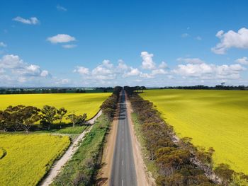 Scenic view of road amidst field against sky