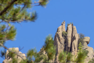 Low angle view of trees against blue sky