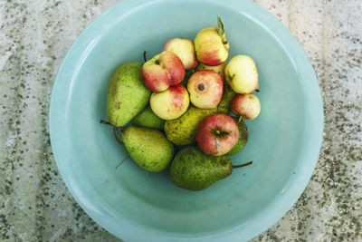 Directly above shot of fruits in bowl on table