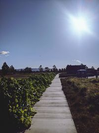 Footpath amidst field against sky