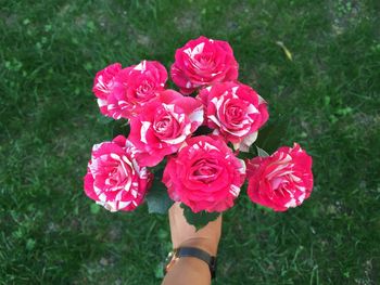 Low section of woman holding rose