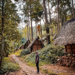 Rear view of woman walking in forest