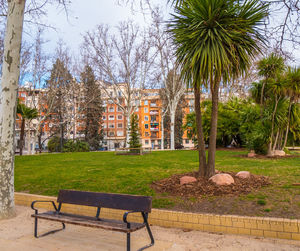 Bench in park against building