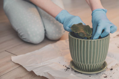 High angle view of woman gardening on table