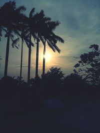 Silhouette palm trees by swimming pool against sky during sunset