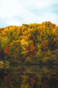 Scenic view of autumnal trees by lake against sky