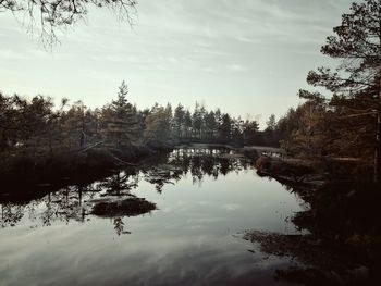 Reflection of trees in lake against sky