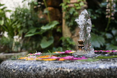 Close-up of water splashing on fountain