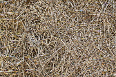 Full frame shot of hay bales