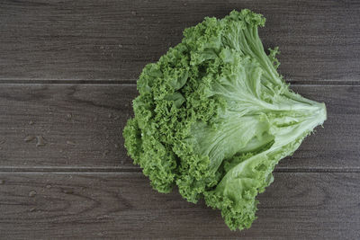 High angle view of green leaf on table