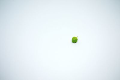 Close-up of fruits over white background