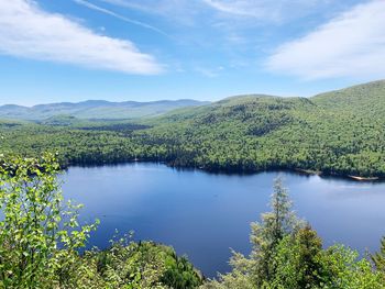 Scenic view of lake by trees against sky