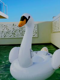 Large inflatable swan in pool 