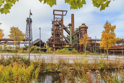 Plants by river against sky