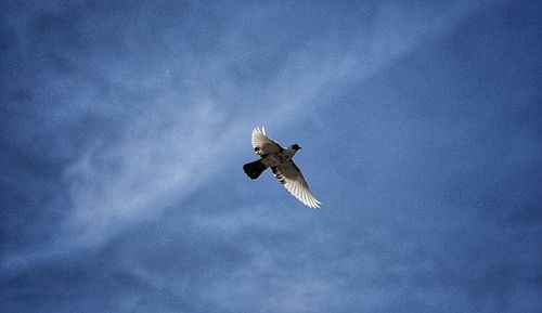 Low angle view of cloudy sky