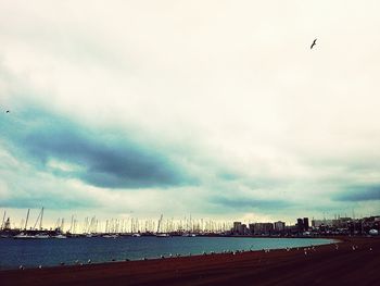 Birds flying over cloudy sky