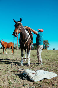 Portrait of man preparing his horse