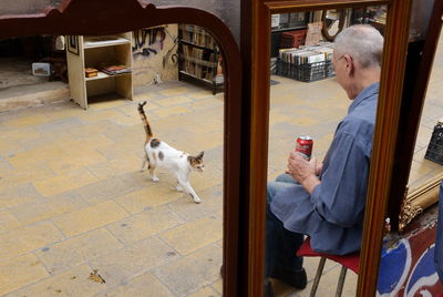 Dog sitting in front of building