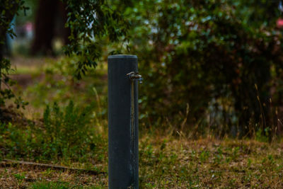 Close-up of wooden post on pole in field