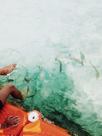 LOW SECTION OF PERSON IN SEA